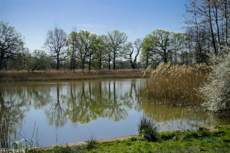 Hospoda-Ferienhaus Am Olba-See Malschwitz Екстериор снимка